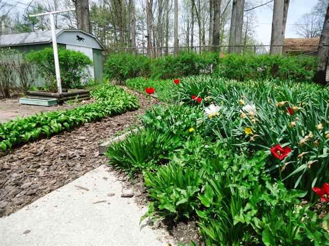 3614 Abbott St, Fort Wayne, IN 46806 photo 6