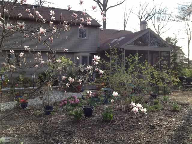 6817 Shadowbrook Cv, Fort Wayne, IN 46835 photo 23