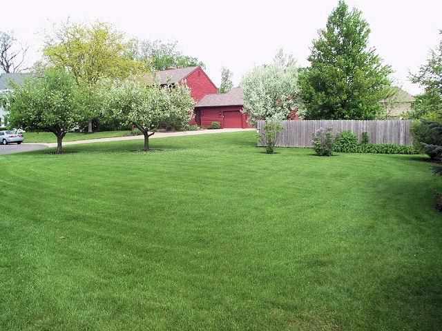 10018 Schuyler Ct, Fort Wayne, IN 46804 photo 5