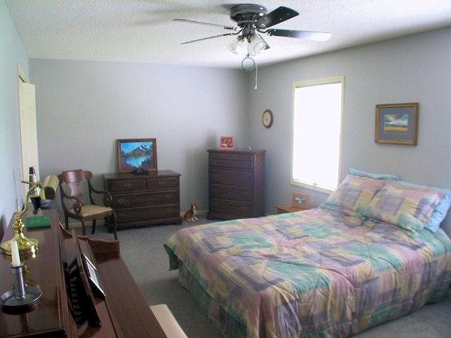 10018 Schuyler Ct, Fort Wayne, IN 46804 photo 21