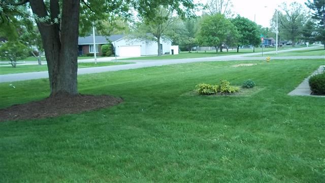 2725 Stinson Dr, Fort Wayne, IN 46816 photo 18