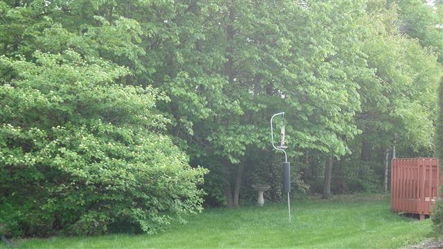 5606 Autumn Woods Trl, Fort Wayne, IN 46835 photo 25
