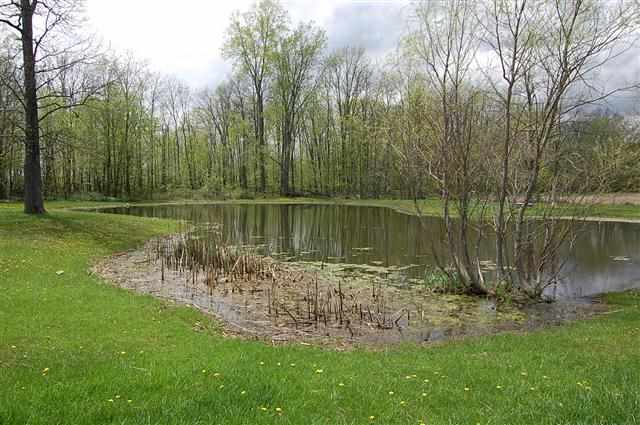 2585 N 950 E, Churubusco, IN 46723 photo 11
