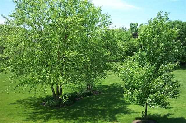 1720 Wycliffe Dr, Lafayette, IN 47905 photo 28