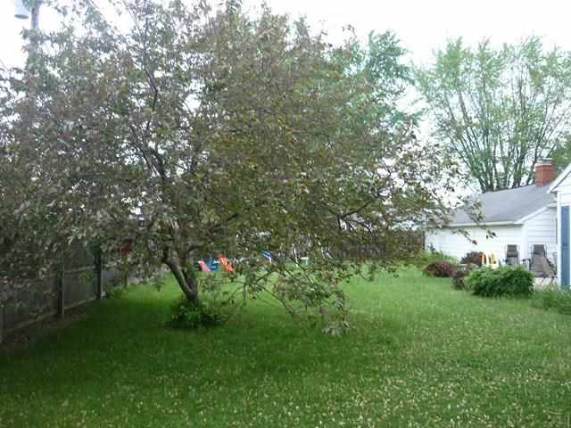 5 Blue River Dr, Columbia City, IN 46725 photo 27