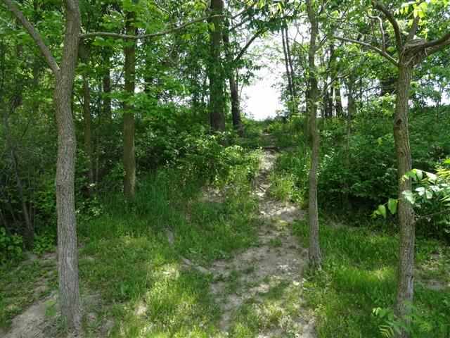 9030 Mccomb Rd, Churubusco, IN 46723 photo 28