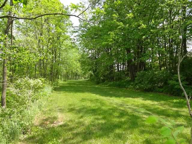 9030 Mccomb Rd, Churubusco, IN 46723 photo 25