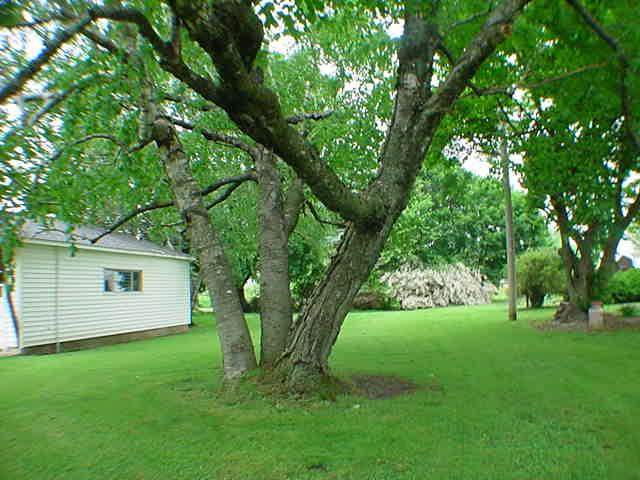 205 E Main, Boswell, IN 47921 photo 5