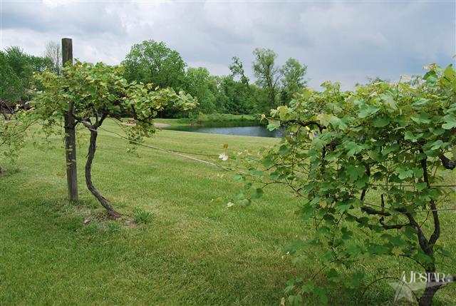 5385 N 350 E, Columbia City, IN 46725 photo 17