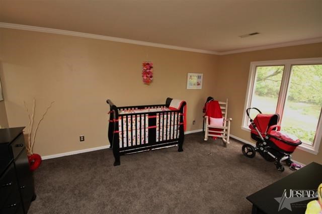 2721 Mallard Cove Ln, Fort Wayne, IN 46804 photo 26
