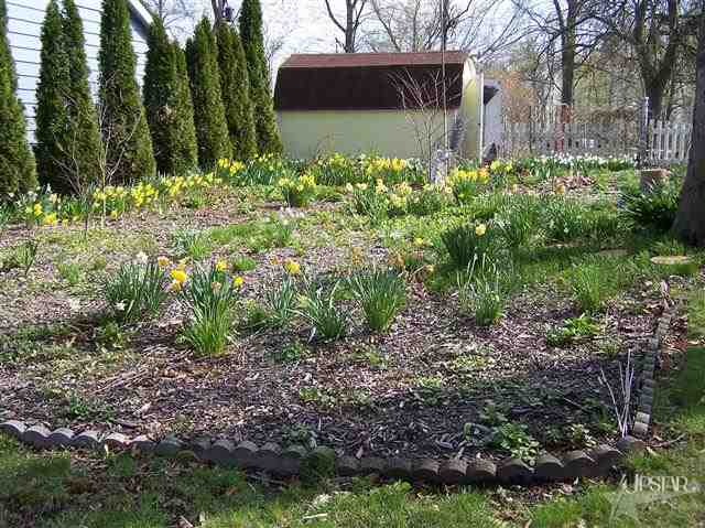 2765 E Crescent Ave, Columbia City, IN 46725 photo 10