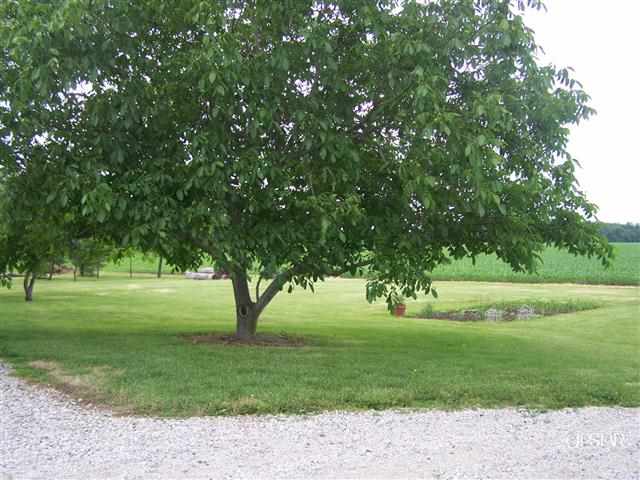 186 N 600 W, Andrews, IN 46702 photo 6