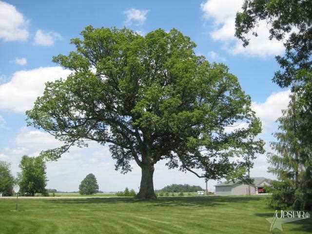 4615 Hamilton Rd, Yoder, IN 46798 photo 30