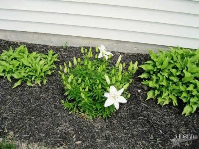 5731 W California Rd, Fort Wayne, IN 46818 photo 23