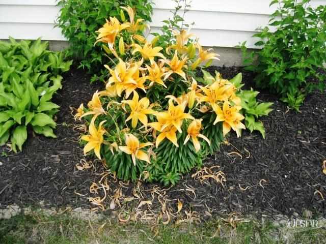 5731 W California Rd, Fort Wayne, IN 46818 photo 22