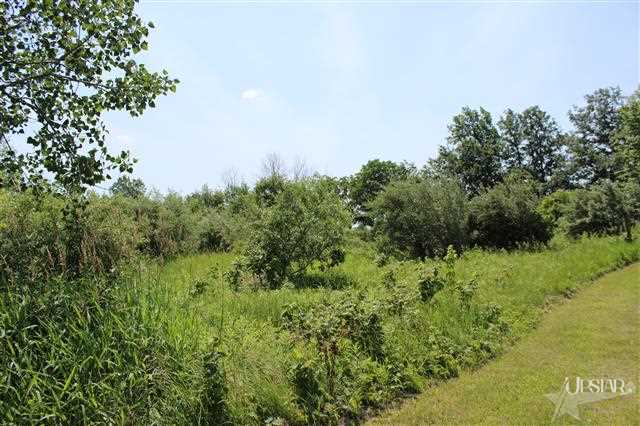 3550 N 650 E, Churubusco, IN 46723 photo 16