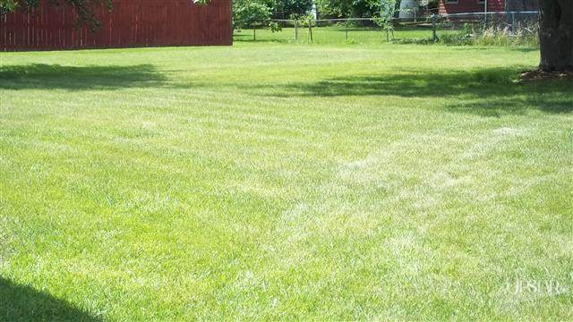 2925 Dexter Dr, Fort Wayne, IN 46816 photo 10
