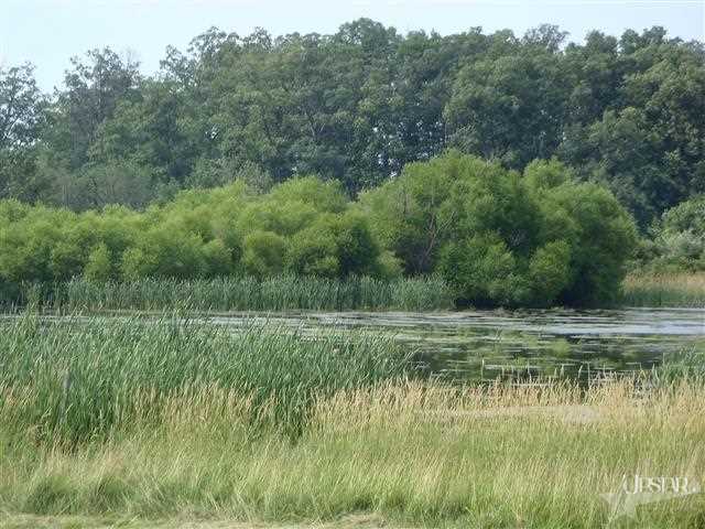 4622 W County Line Rd N, Columbia City, IN 46725 photo 3