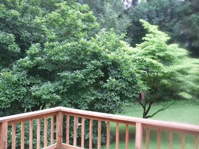 2630 N Dunn St, Bloomington, IN 47408 photo 5
