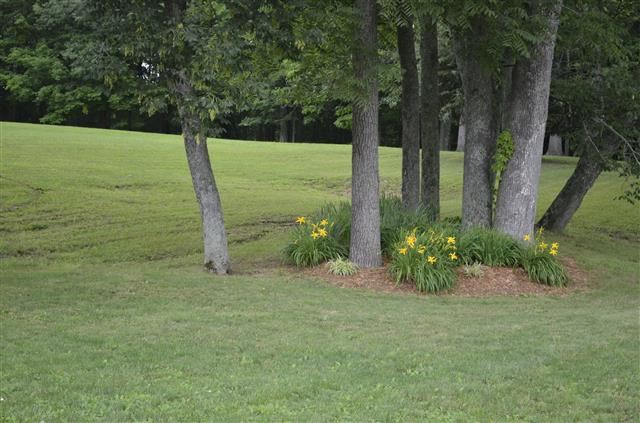7863 N Barr Rd, Ellettsville, IN 47429 photo 13