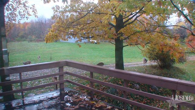 5290 S 300 E, Hamilton, IN 46742 photo 12