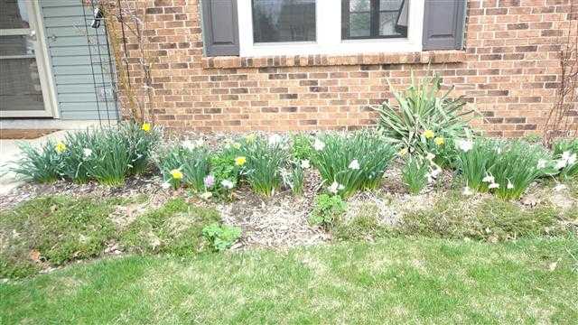 7132 Tanbark Ln, Fort Wayne, IN 46835 photo 27