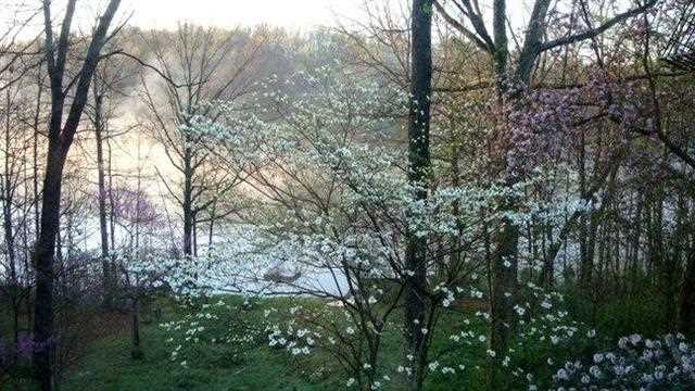 4241 Somerset Lake Rd, Nashville, IN 47448 photo 22