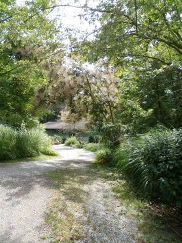 4241 Somerset Lake Rd, Nashville, IN 47448 photo 18