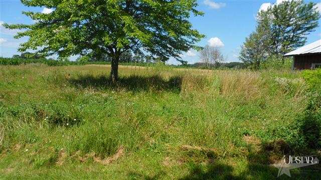3200 County Road 47, Waterloo, IN 46793 photo 18