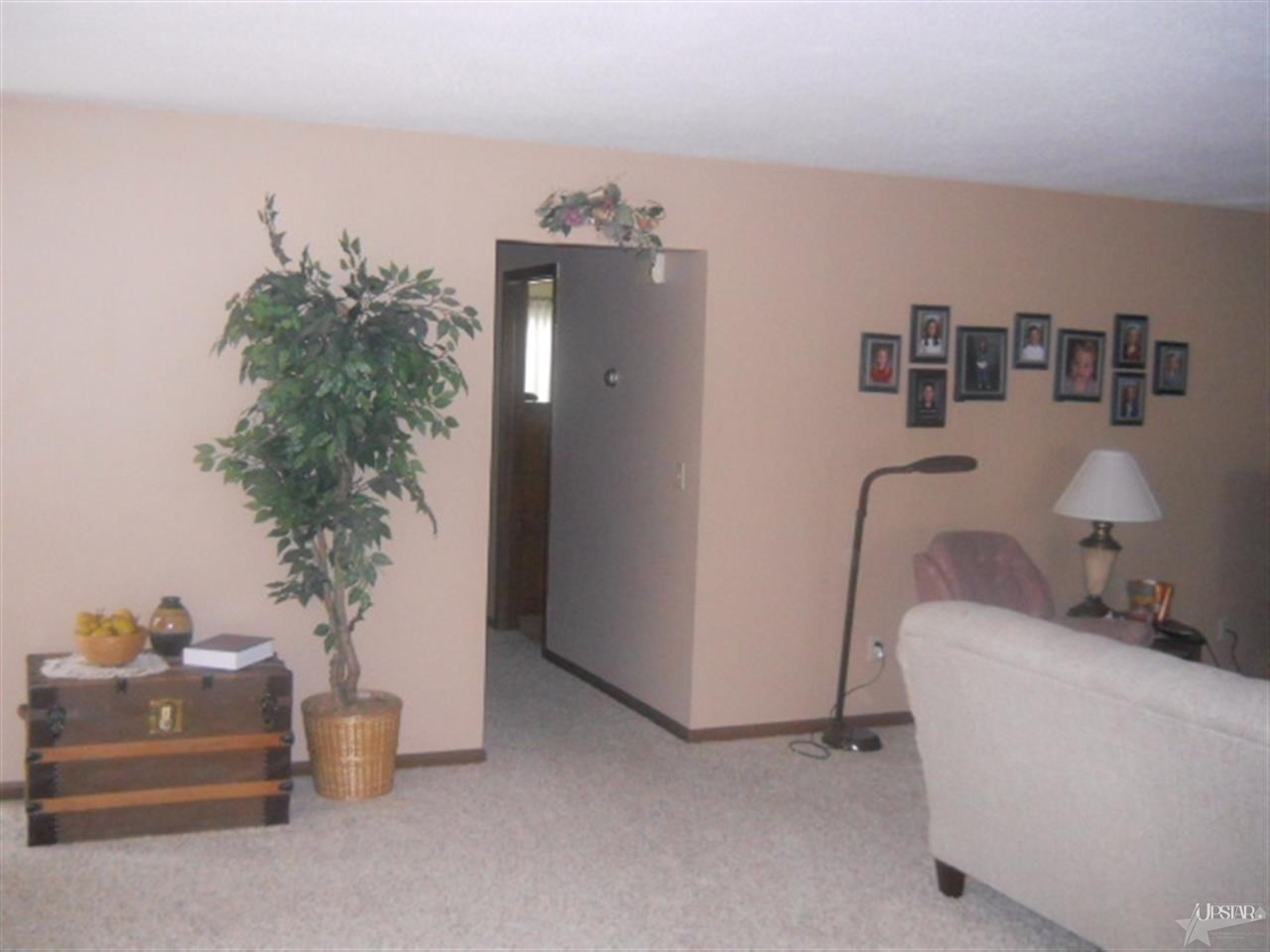 1321 Canterbury Dr, Decatur, IN 46733 photo 14