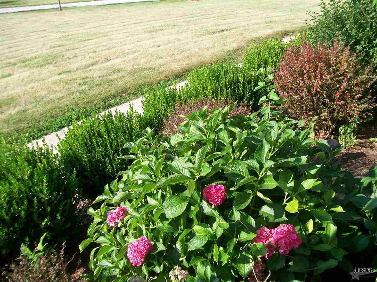 16020 Davis Rd, Spencerville, IN 46788 photo 6