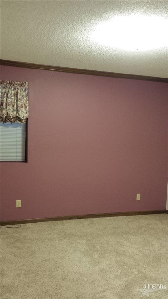 1667 E Bair Rd, Columbia City, IN 46725 photo 14