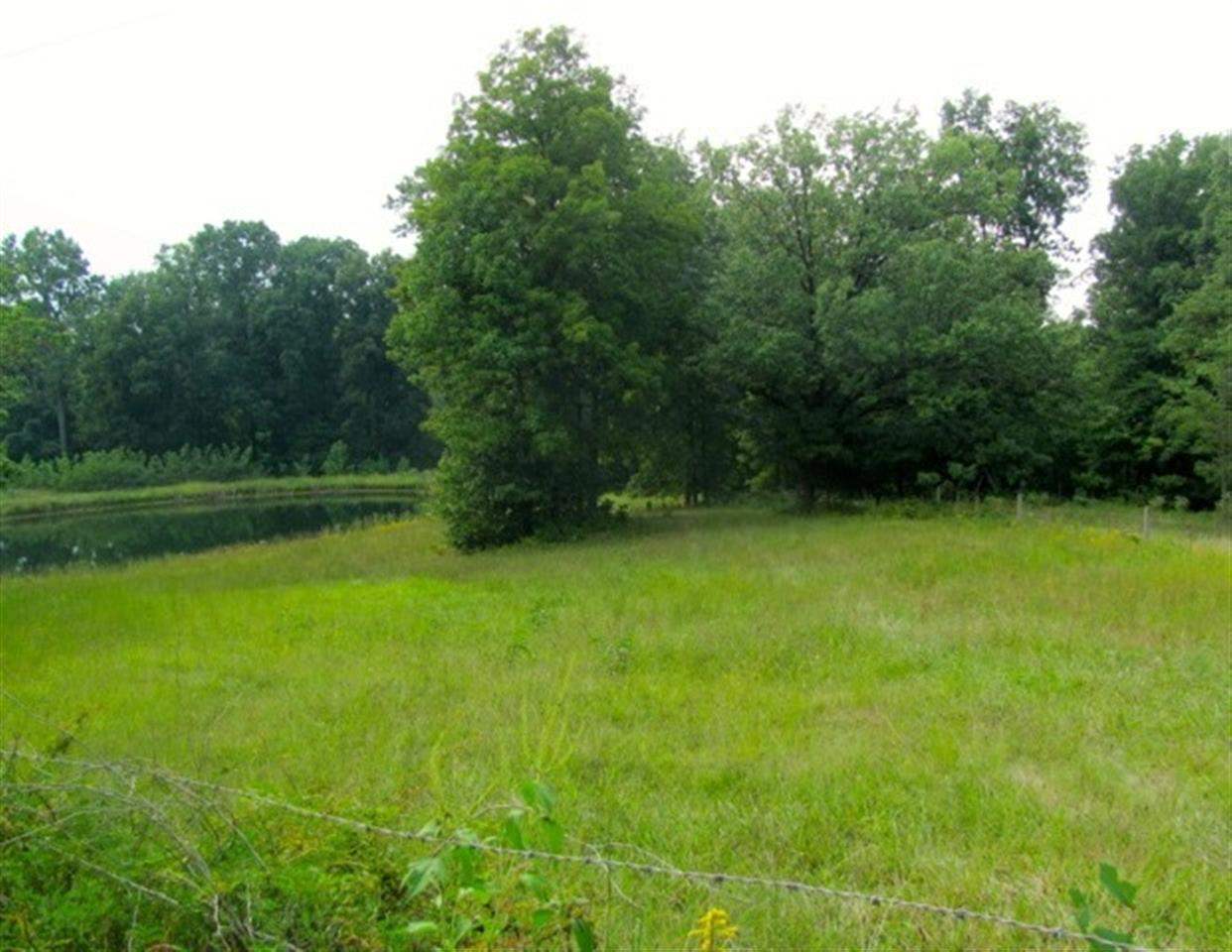 6550 E Tulip Rd, Solsberry, IN 47459 photo 25