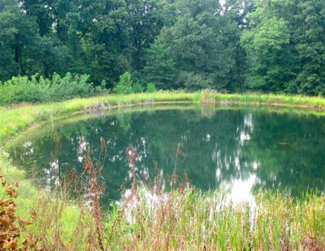 6550 E Tulip Rd, Solsberry, IN 47459 photo 28
