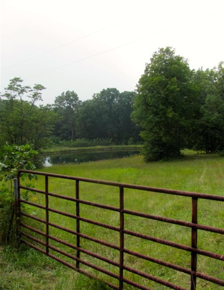 6550 E Tulip Rd, Solsberry, IN 47459 photo 26