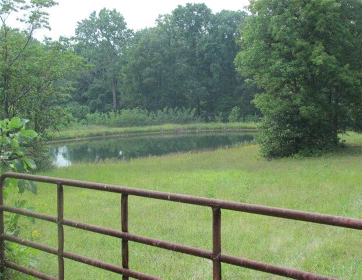 6550 E Tulip Rd, Solsberry, IN 47459 photo 27