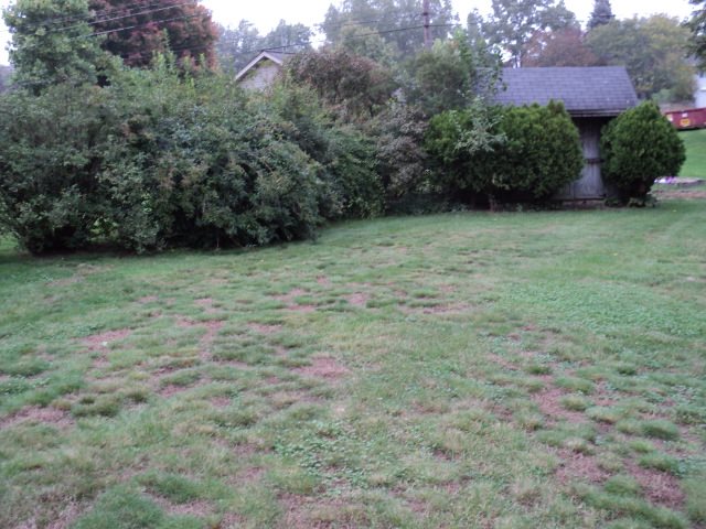 19605 Old Ridge Rd, South Bend, IN 46614 photo 3