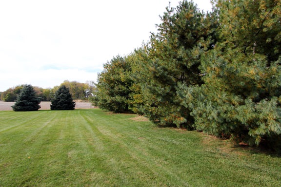 4801 Fencerow Ln, Lafayette, IN 47905 photo 27