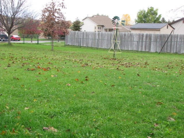 611 W Walnut St, Albion, IN 46701 photo 5