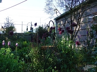 1517 Columbia Ave, Fort Wayne, IN 46805 photo 15