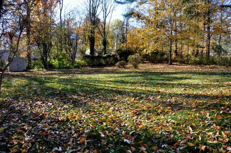 220 E Dewey Dr, Ellettsville, IN 47429 photo 28