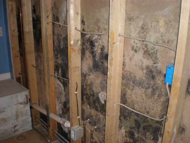 59826 Kay Blvd, Elkhart, IN 46517 photo 19