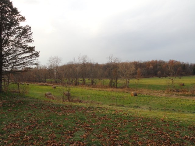 7815 Switchboard Rd, Spencer, IN 47460 photo 6