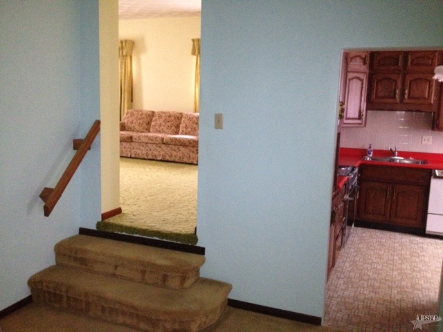 313 E High, Garrett, IN 46738 photo 14