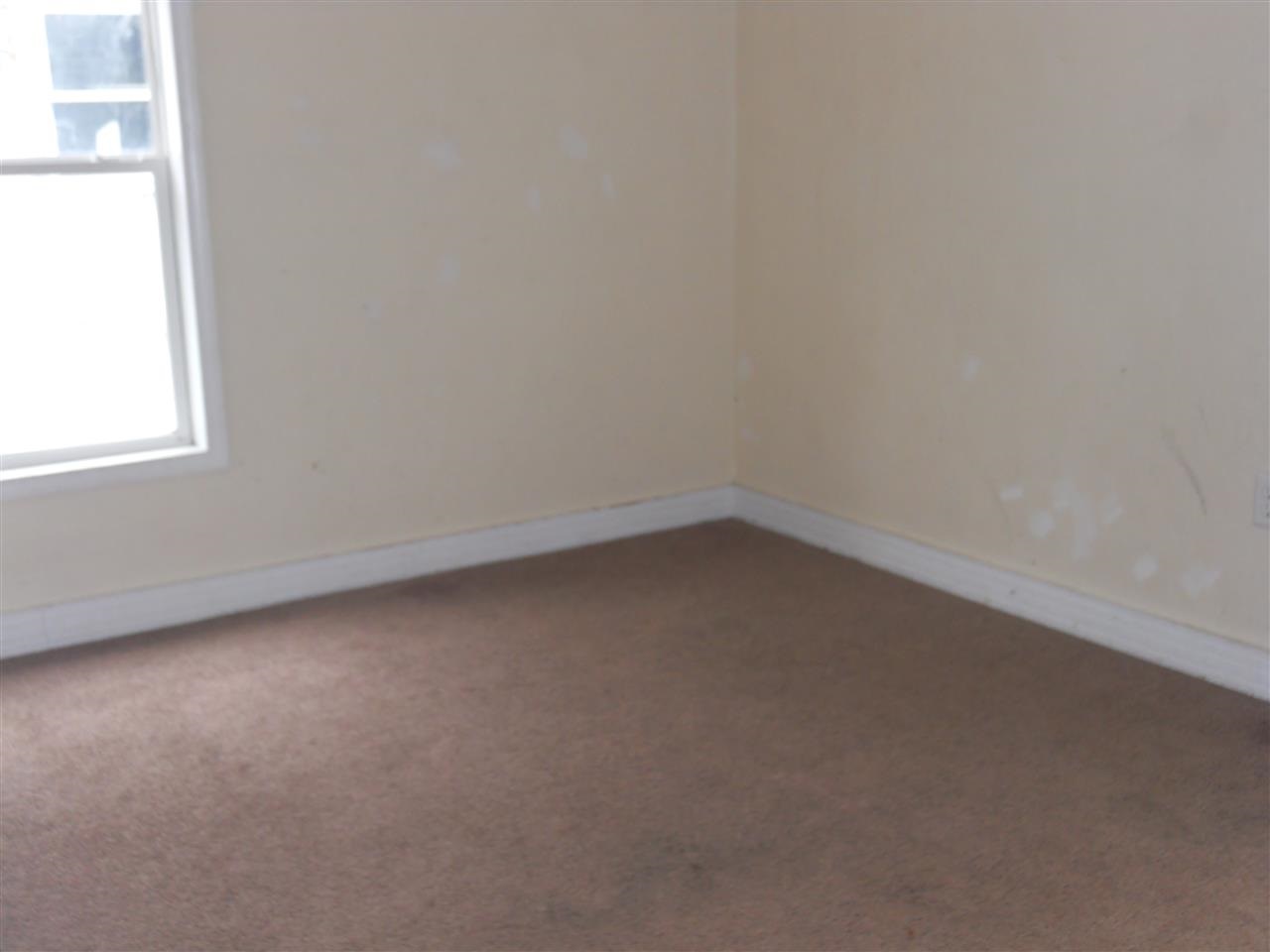 117 E Fox, South Bend, IN 46613 photo 10
