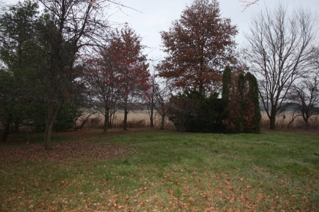 8881 W Division Line Rd, Delphi, IN 46923 photo 20