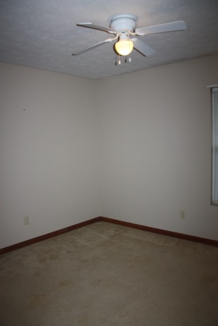 8881 W Division Line Rd, Delphi, IN 46923 photo 12