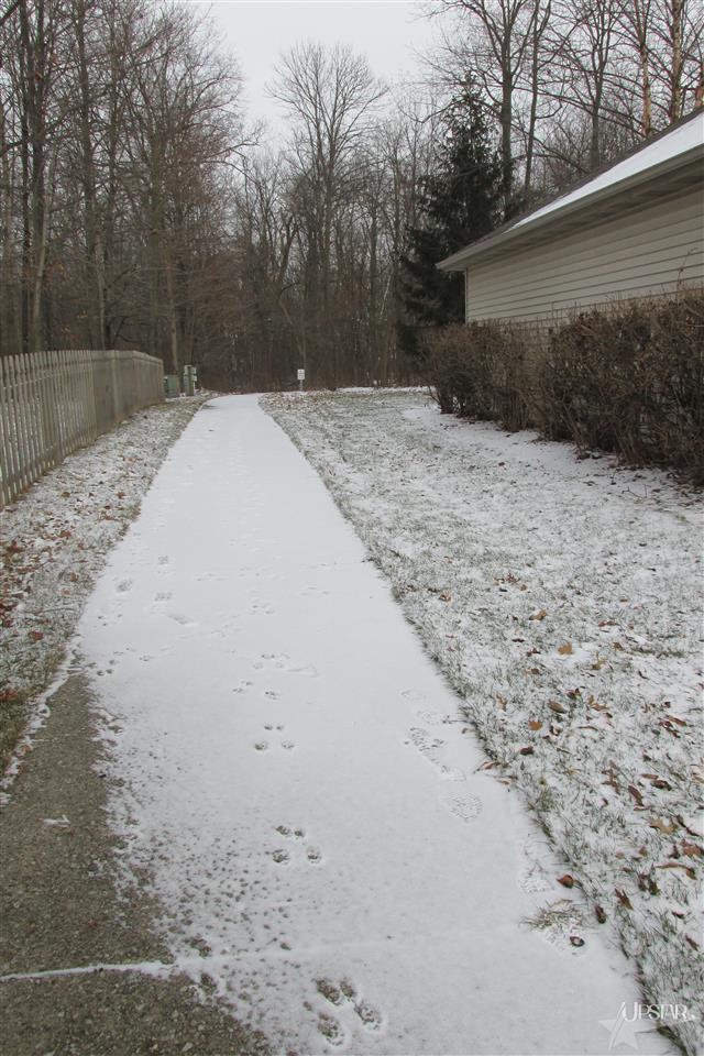 1926 Sweet Cider Rd, Fort Wayne, IN 46818 photo 21