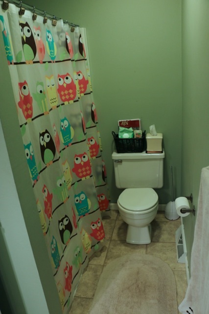 405 Eugene Dr, Middlebury, IN 46540 photo 21