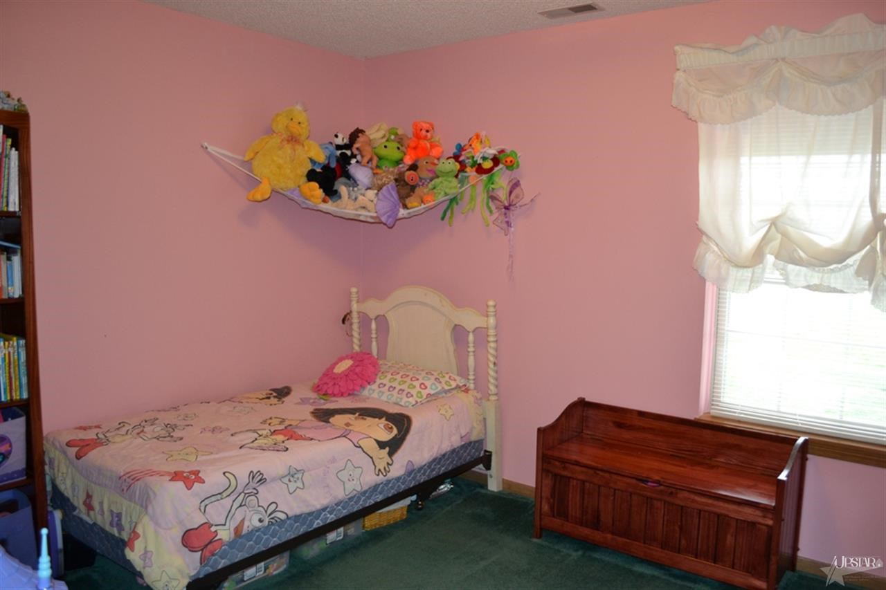 10908 State Road 205, Churubusco, IN 46723 photo 17